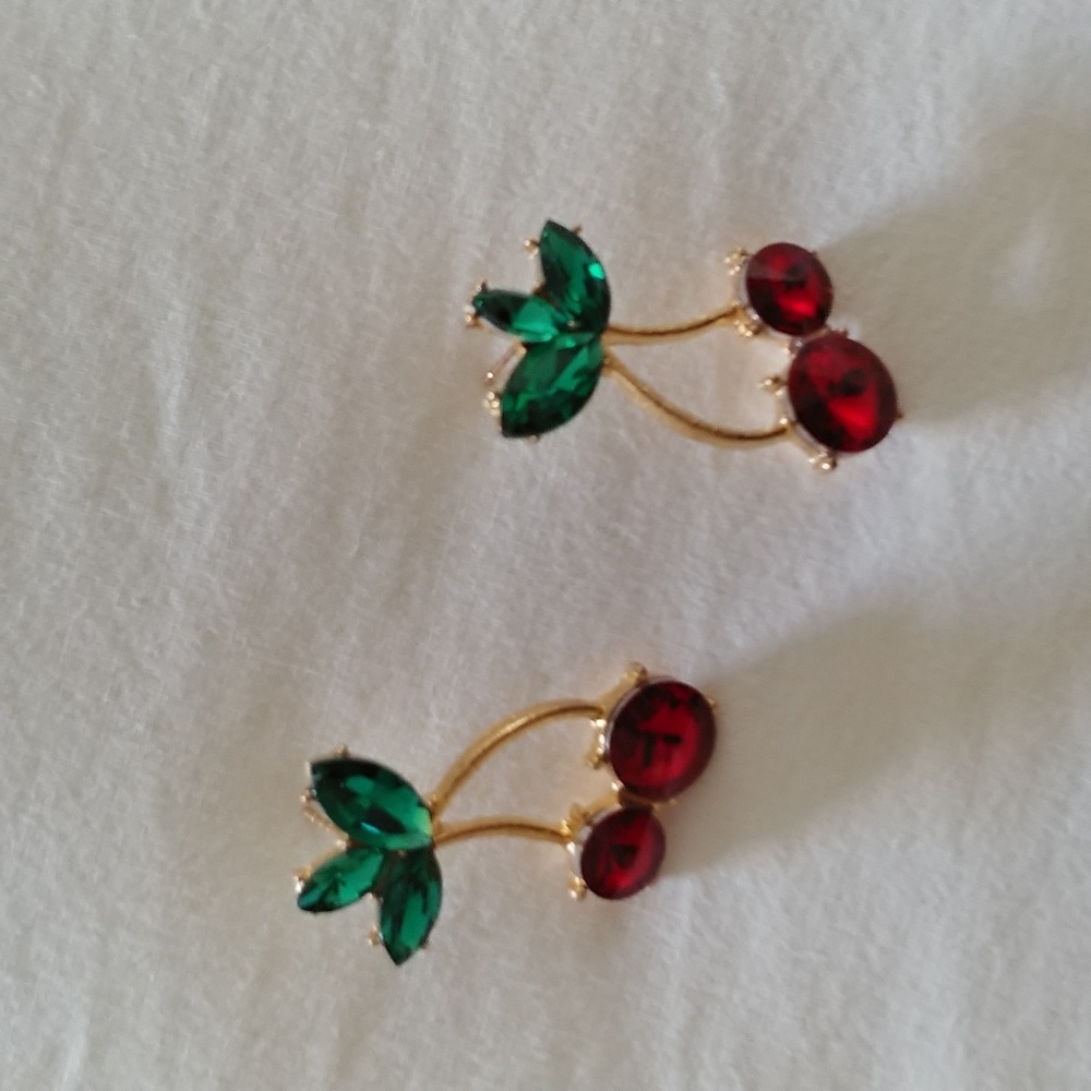 Earrings brand new never worn